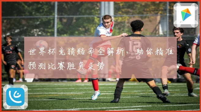 世界杯竞猜赔率全解析，助你精准预测比赛胜负走势
